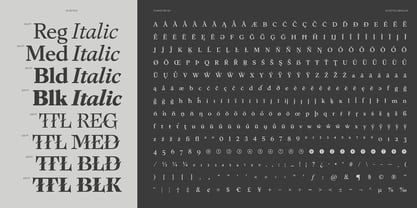 Eclectica Font Poster 14