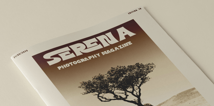 Mashle Font Poster 6