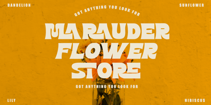 Mashle Font Poster 2