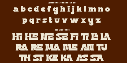 Mashle Font Poster 11