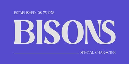 Ridesta Font Poster 5