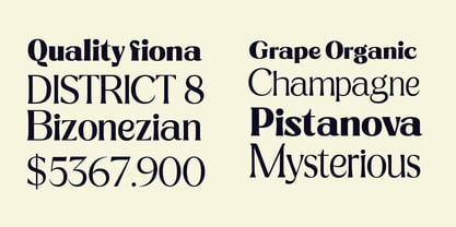 Ridesta Font Poster 9