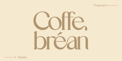 Polareal Font Poster 6