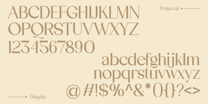 Polareal Font Poster 4