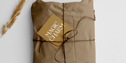 South Blanke Font Poster 6