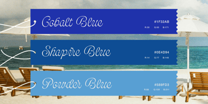 Bolina Font Poster 5