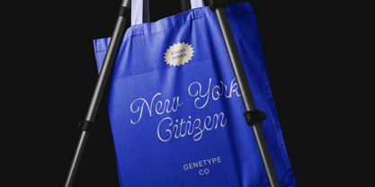 Bolina Font Poster 4