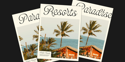 Bolina Font Poster 8