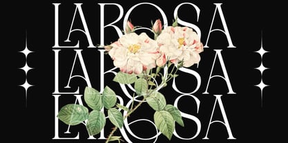 Sukari Font Poster 10