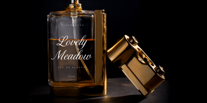 Romance Delighter Font Poster 5