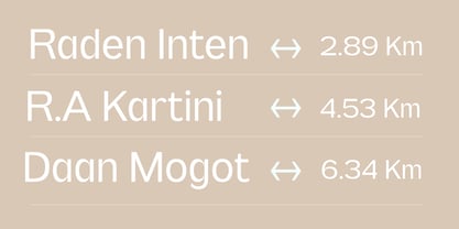 Pripun Variable Font Poster 4