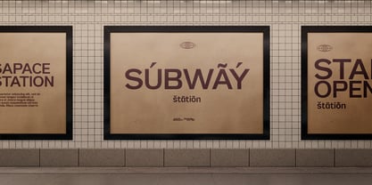 Pripun Variable Font Poster 10