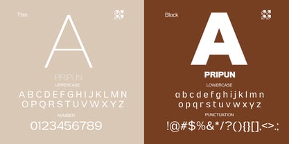 Pripun Variable Font Poster 3