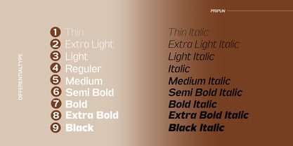 Pripun Variable Font Poster 2