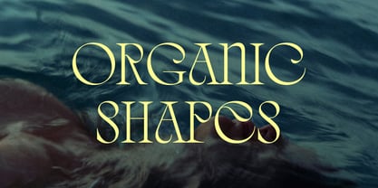 Quelia Font Poster 12