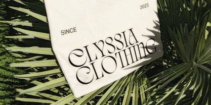 Quelia Font Poster 3