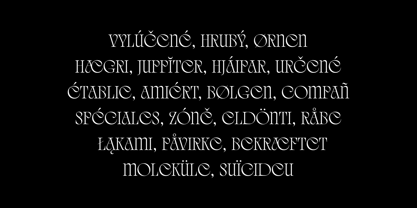 Quelia Font Poster 10