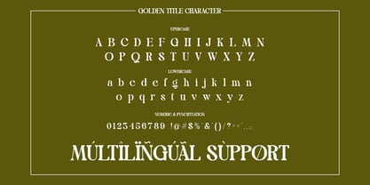 Golden Title Font Poster 10