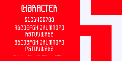SkyBoxed Font Poster 7