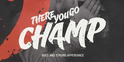 Swash Break Font Poster 5