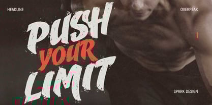 Swash Break Font Poster 3