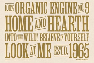 Firewood Font Poster 9