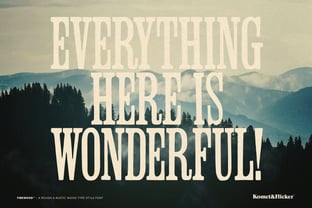 Firewood Font Poster 12