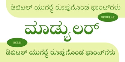 Shree Kannada 0889 Font Poster 3