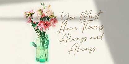 Allezia Sttacy Font Poster 3