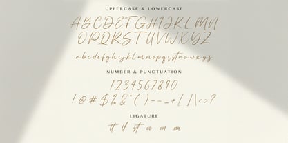 Allezia Sttacy Font Poster 7