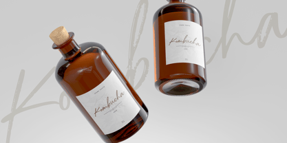 Anderlion Font Poster 5