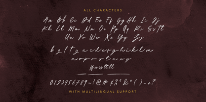 Anderlion Font Poster 9