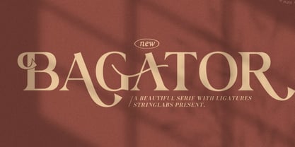 Bagator Font Poster 1
