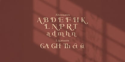 Bagator Font Poster 8