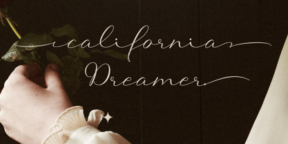 Self Confident Font Poster 2