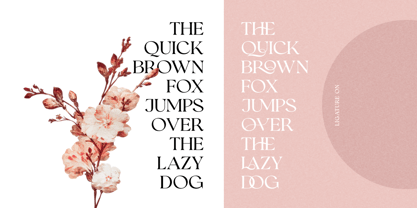 Romans Story Font Poster 7