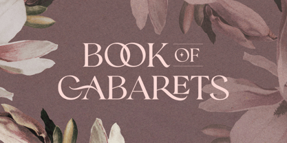 Romans Story Font Poster 4