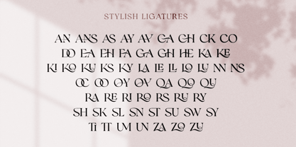 Romans Story Font Poster 9