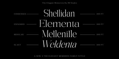 The Elegant Memories Font Poster 2