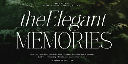 The Elegant Memories Font Poster 1
