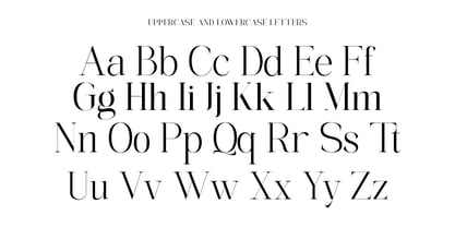 The Elegant Memories Font Poster 11