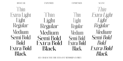 The Elegant Memories Font Poster 12