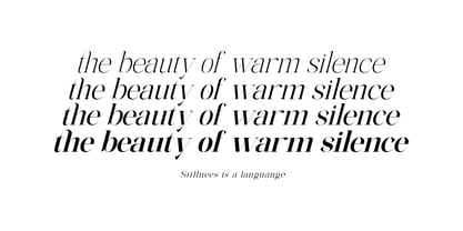 The Elegant Memories Font Poster 10