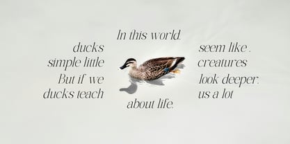 The Elegant Memories Font Poster 5