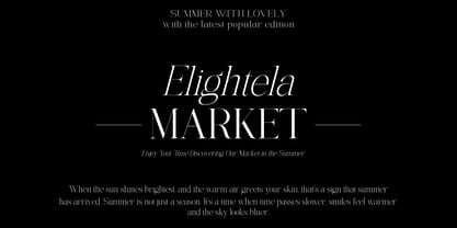 The Elegant Memories Font Poster 8