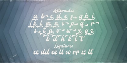 Amigos Script Font Poster 8