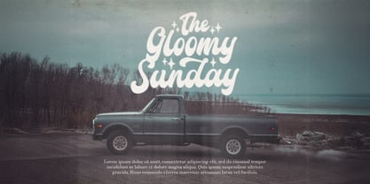 Amigos Script Font Poster 6