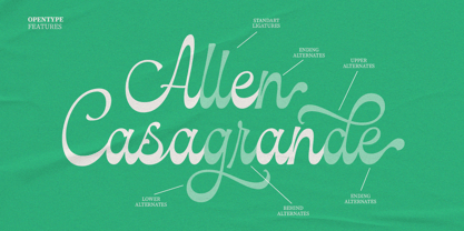 Cavani Font Poster 5