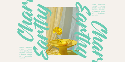 Rough Streak Font Poster 8