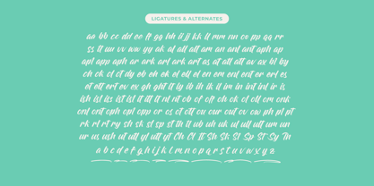 Rough Streak Font Poster 14